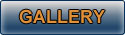 Gallery navigation button
